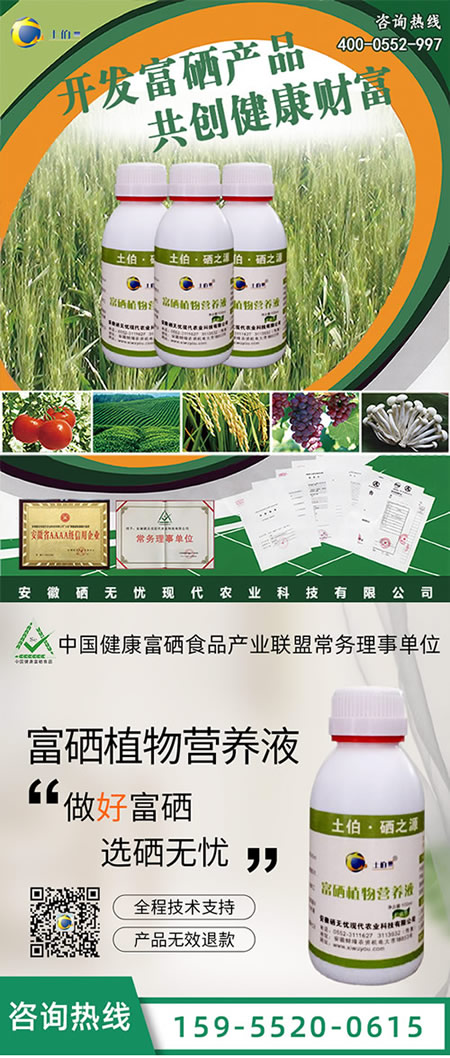 ˮ������,С��������