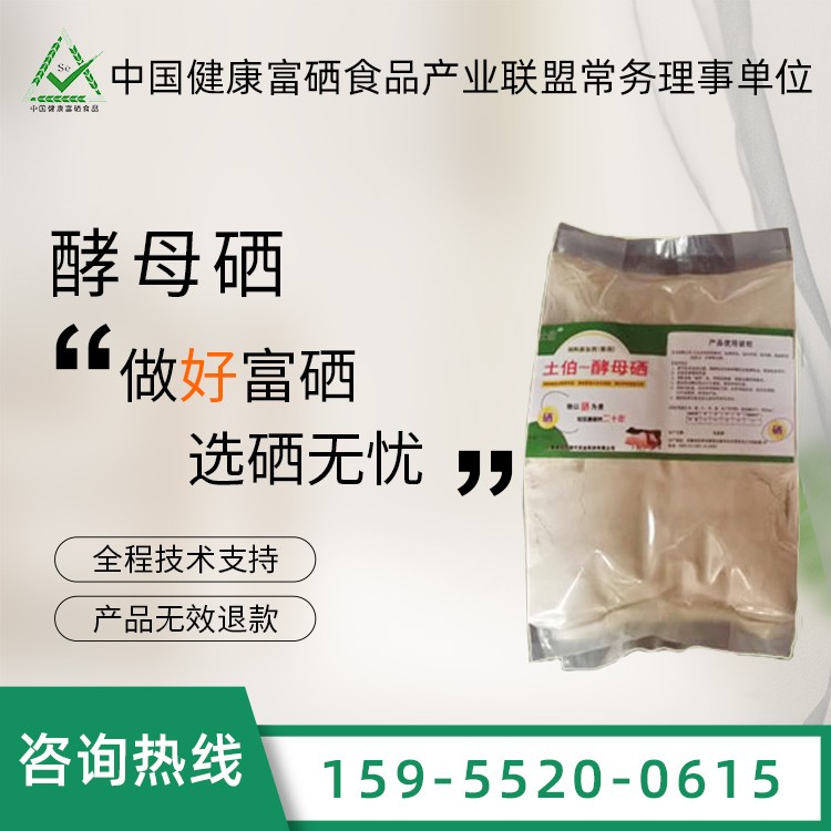 ����������ӄ�