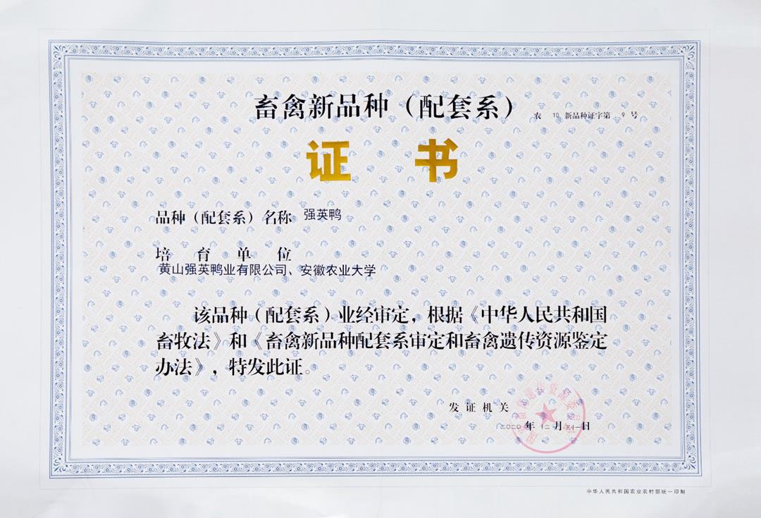 榮譽(yù)展示