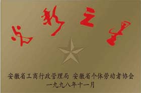 榮譽(yù)展示