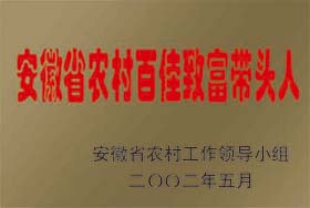 榮譽(yù)展示