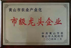 榮譽(yù)展示