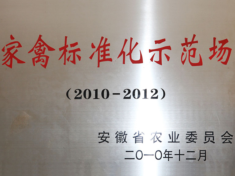 榮譽(yù)展示