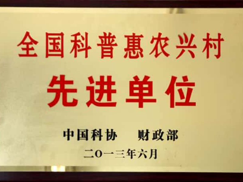 榮譽(yù)展示