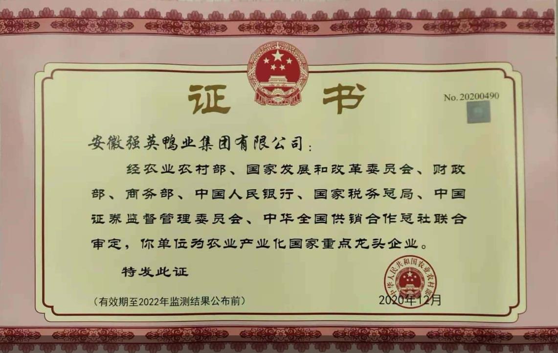 榮譽(yù)展示